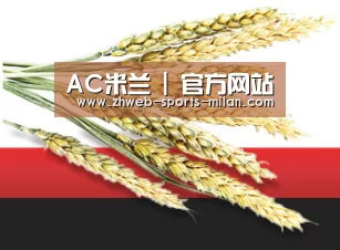 AC米兰 | 官方网站