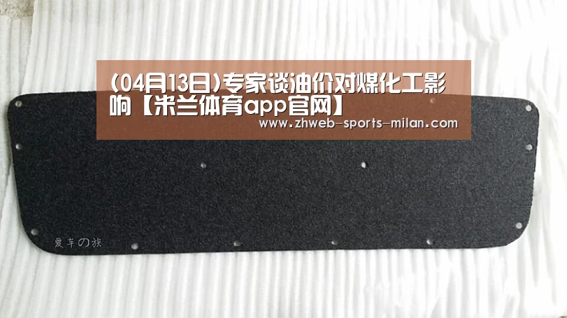 (04月13日)专家谈油价对煤化工影响【米兰体育app官网】